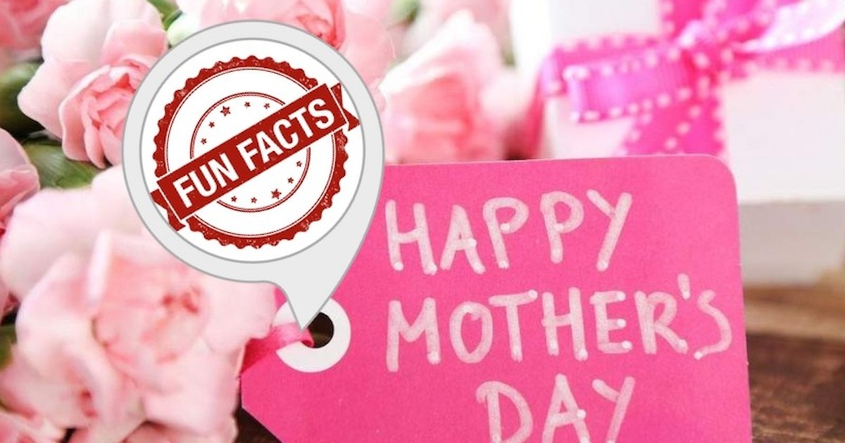 Fun Facts About Mothers Day Recent News Drydenwire Com