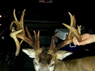 23 Point Buck Hit By Car on Hwy 63 Article Image