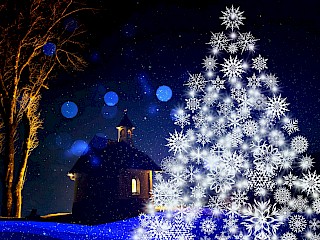 (Update) Christmas Tree Sale in Shell Lake Has Been Extended Article Image