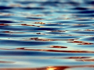 UPDATE: Female Drowning Victim Identified from Incident on St. Croix River Article Image