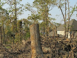 Tornado Disaster Relief Fund Reaches $1 Million Article Image