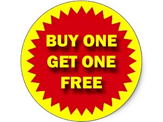 DrydenWire Exclusive: BOGO on #20lb Bag of Bird Seed Article Image
