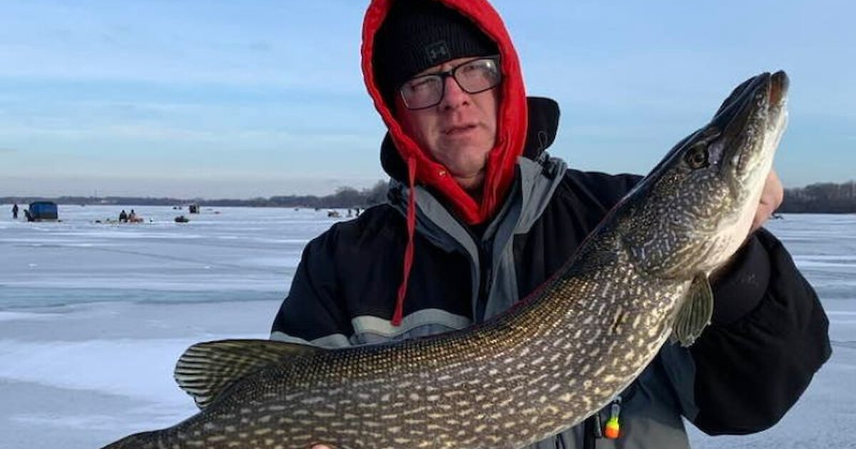 Wisconsin DNR tallies fish stocking in Lake Superior, Lake Michigan -  Duluth News Tribune