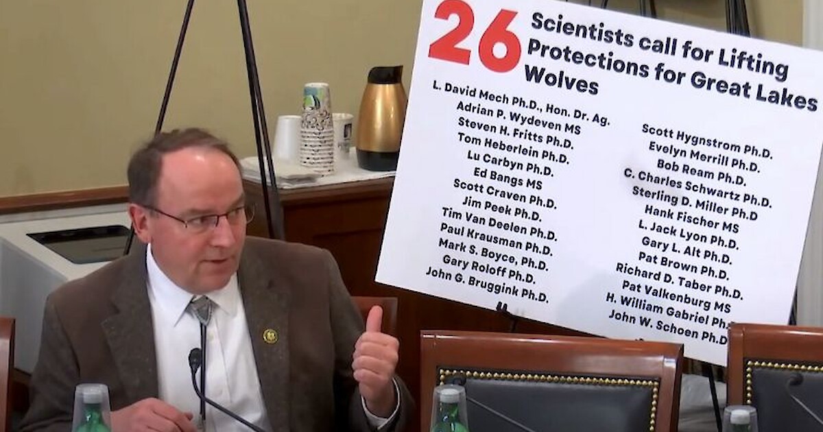 Rep. Tom Tiffany’s Gray Wolf Delisting Legislation Receives